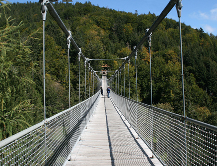 218 Meter ist sie lang: Die Seilbrücke im Steinwasenpark bei Oberried. Foto: Steinwasenpark