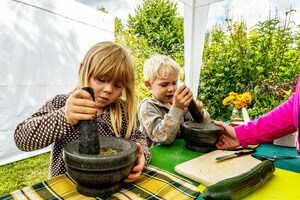 Krutersalz selber herstellen, mit frischen Krutern. Foto: Klaus Hansen