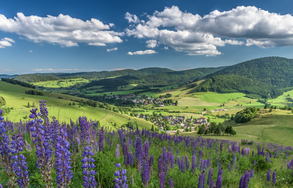 Bernau Schwarzwald Luftbild Bernauer Hochtal.jpg