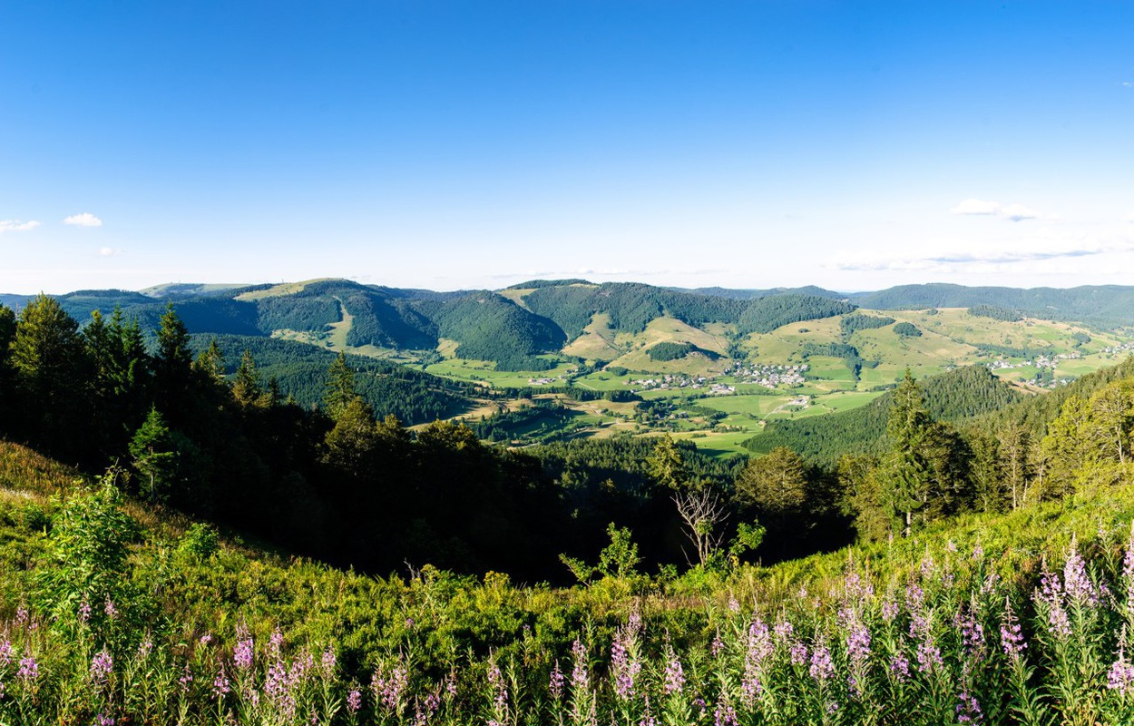 Panoramablick vom Blößling auf das Bernauer Hochtal. Foto: Birgit-Cathrin Duval.