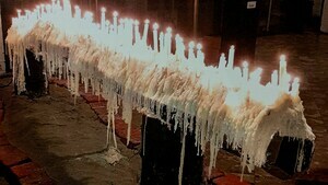 Kerzenbaum (C) M. K�pfer